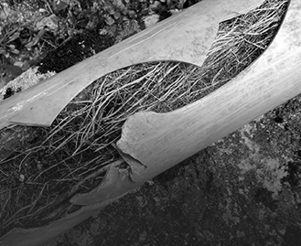 Blocked Drains Boronia